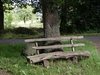 Leben